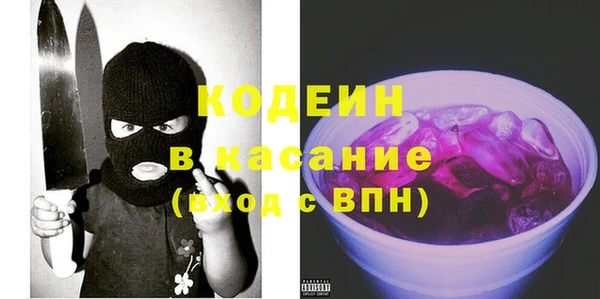 крисы Абаза