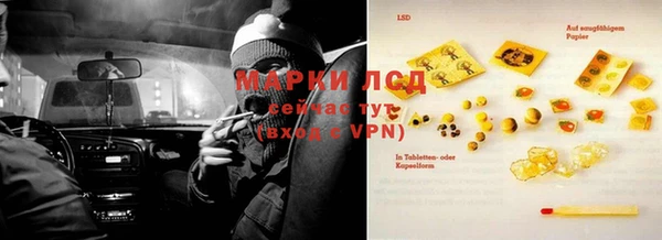 ПСИЛОЦИБИНОВЫЕ ГРИБЫ Нея