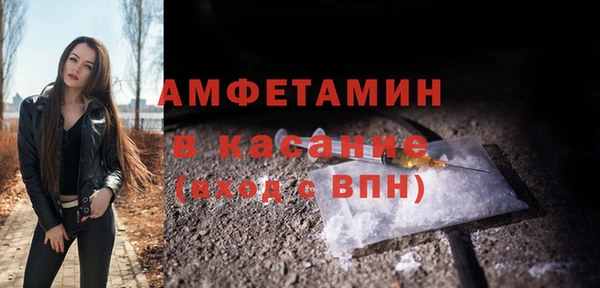 крисы Абаза